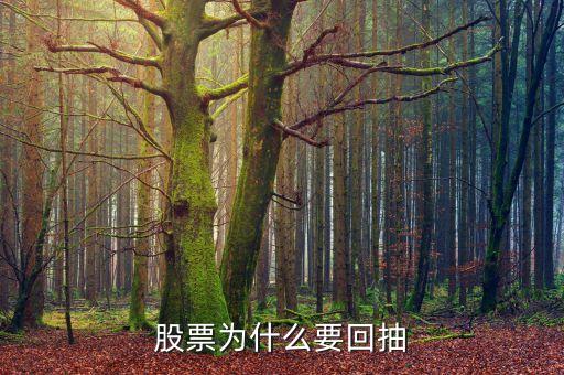為什么回抽確認(rèn)，股價突破重要阻力位后為什么一般都要回抽確認(rèn)