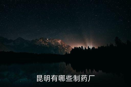 昆藥全資子公司都有什么，昆明有哪些制藥廠
