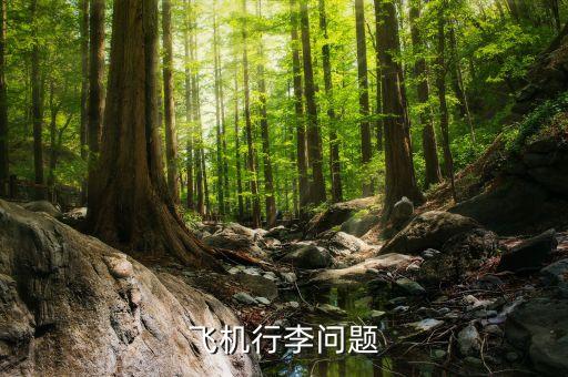 航空公司可以拒載什么傷人，憑什么飛機(jī)可以拒載