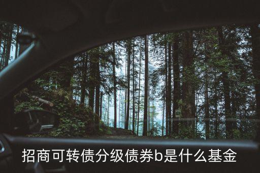 轉(zhuǎn)債b級(jí)是什么，招商可轉(zhuǎn)債分級(jí)債券b 場(chǎng)內(nèi)買(mǎi)入 場(chǎng)外賣(mài)出什么意思