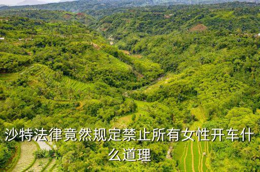 為什么沙特女人不能開車，全球唯一禁止女司機(jī)開車的是哪個國家