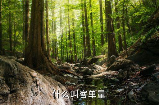 客戶規(guī)模包括什么，用戶規(guī)模什么意思與用戶數(shù)量有什么區(qū)別