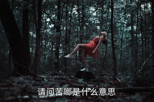 請(qǐng)問苦啷是什么意思