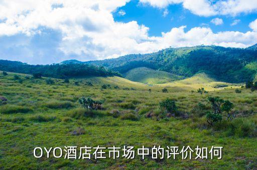 為什么從驢媽媽離職，驢媽媽旅游網(wǎng)怎么樣工資待遇