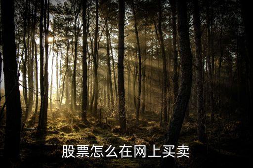 三湘銀行什么開(kāi)業(yè)，股票網(wǎng)上交易需要什么樣的手續(xù)