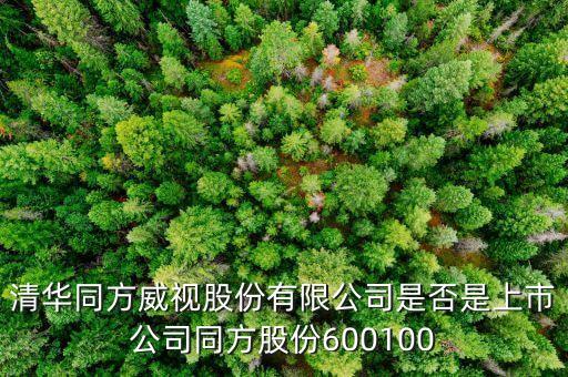 威視股份什么時(shí)候上市，威創(chuàng)股份什么時(shí)候上市