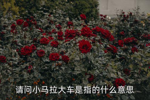 請(qǐng)問(wèn)小馬拉大車是指的什么意思