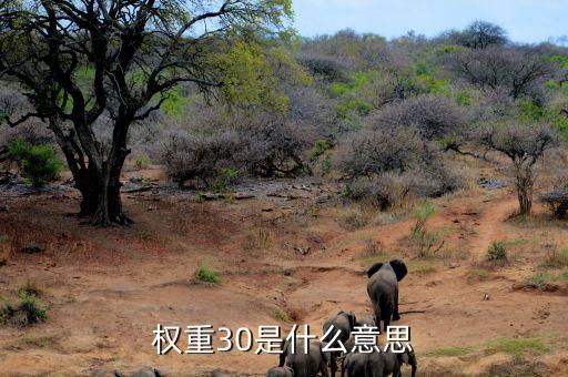 權(quán)重比例是什么意思，權(quán)重30是什么意思