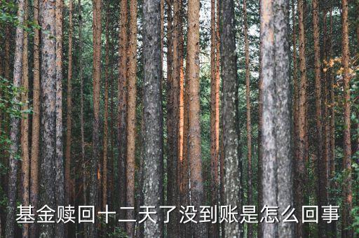 贖回成13天了為什么錢沒到賬，基金贖回成功了 為什么還沒到帳