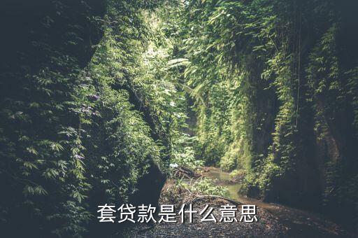 什么是套期，套貸款是什么意思