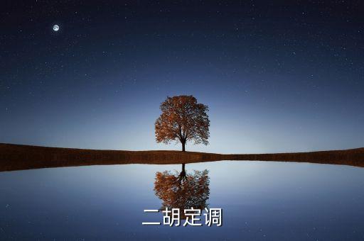 定調(diào)什么意思，二胡定調(diào)