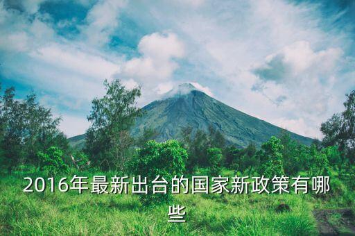 2016年什么新政策，2016年國(guó)家有什么新政策