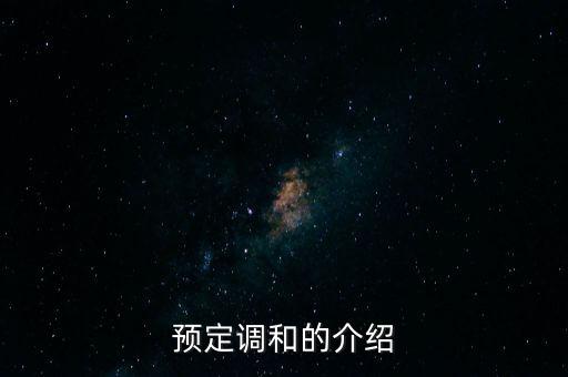 預定調(diào)和的介紹