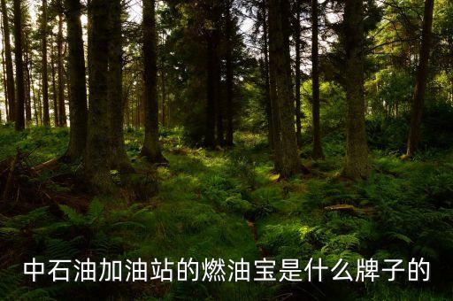 珠海中國(guó)石油里賣的是什么燃油寶，燃油寶是什么網(wǎng)上有得賣嗎