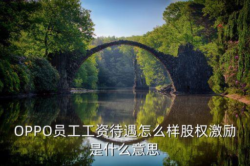 全員持股什么意思，OPPO員工工資待遇怎么樣股權(quán)激勵(lì)是什么意思