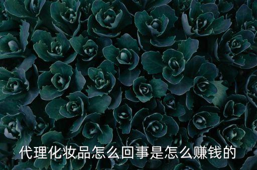 代理化妝品怎么回事是怎么賺錢(qián)的