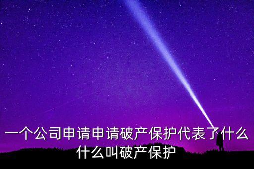 申請破產保護是什么意思，破產保護是什么意思