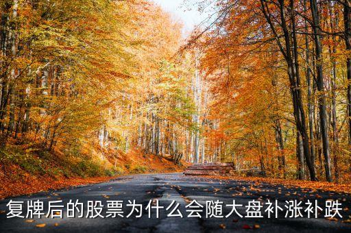 股票復(fù)牌為什么會(huì)補(bǔ)跌，復(fù)牌后的股票為什么會(huì)隨大盤(pán)補(bǔ)漲補(bǔ)跌