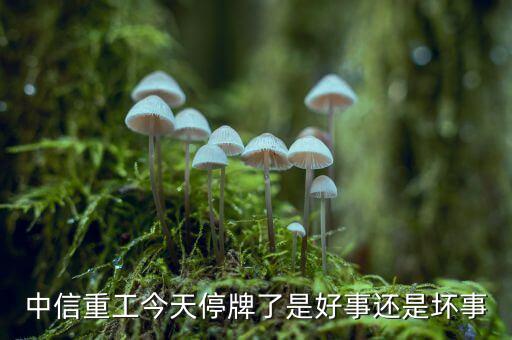 中信重工什么時(shí)候復(fù)牌，中信重工今天停牌了是好事還是壞事