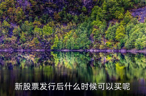 上市股票什么時(shí)候買(mǎi)，股票什么時(shí)候買(mǎi)
