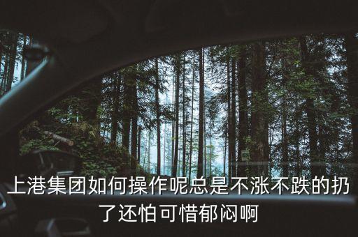 上港集團(tuán)什么級別，上港集團(tuán)振東集裝箱碼頭分公司的介紹