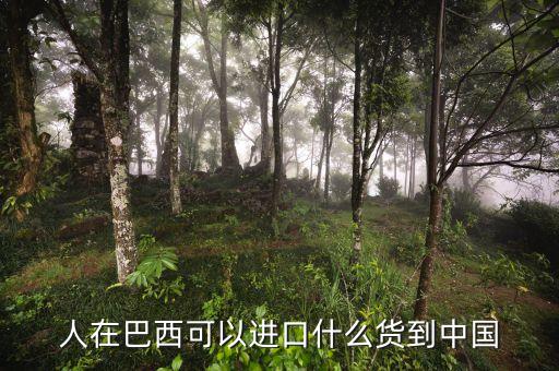 中國從巴西進(jìn)口什么，中國向巴西進(jìn)口哪些東西