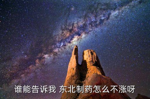 東北制藥為什么不漲，002251為什么不漲是不是公司出問(wèn)題了