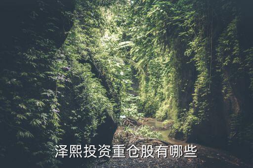 2014年澤熙投資資金介入什么股，請問在哪里能看到澤熙投資參與調(diào)研過哪些股票