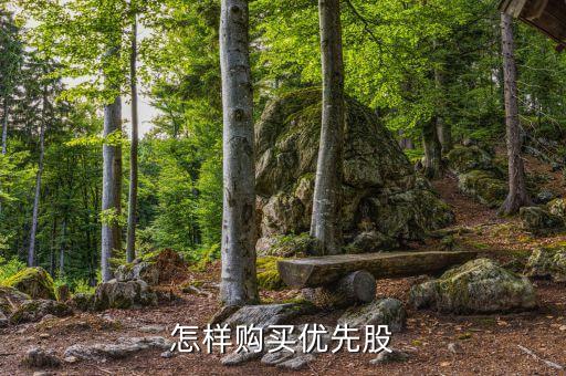 怎樣購(gòu)買(mǎi)優(yōu)先股