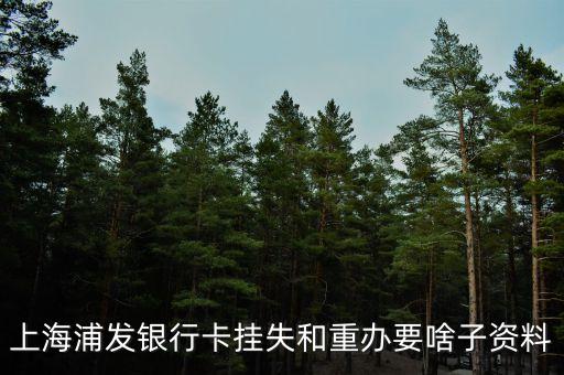浦發(fā)銀行卡掛失需要什么，上海浦發(fā)銀行卡掛失步驟