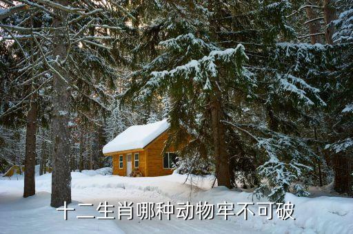 牢不可破為什么說(shuō)是牛，牢不可破打一生肖