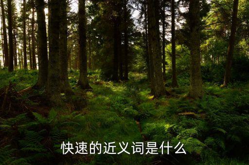 快速的近義詞是什么