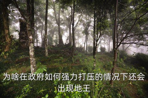 2016年為什么地王頻出，地王頻現(xiàn)傳遞什么信號