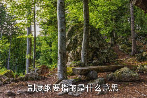 什么是公司綱要，制度綱要指的是什么意思