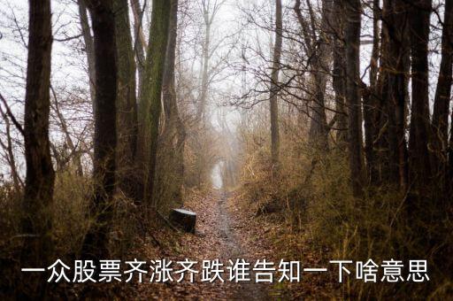 股票量?jī)r(jià)齊跌意味著什么，這幾天大盤(pán)量?jī)r(jià)齊跌從技術(shù)角度說(shuō)明什么