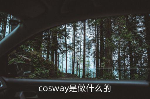 湯敏家是做什么的，synovate公司主要是干什么的說得通俗一點