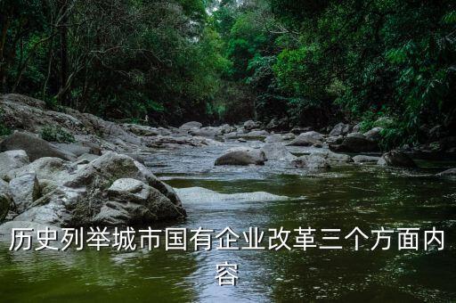 地方國(guó)企改革什么，國(guó)企改革到底要改什么東西啊簡(jiǎn)單點(diǎn)的回答就好