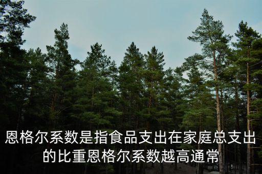 什么是恩格爾系數(shù)法，什么是恩戈爾系數(shù)