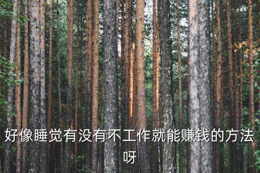 什么事可以睡著賺錢，上晚班晚上八點(diǎn)上到早晨六點(diǎn)期間可以睡覺我想白天在干點(diǎn)賺錢