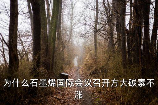 炭素與石墨烯是什么關(guān)系，石墨烯是有碳原子構(gòu)成的單層片狀的新材料可由石墨剝離而成具有