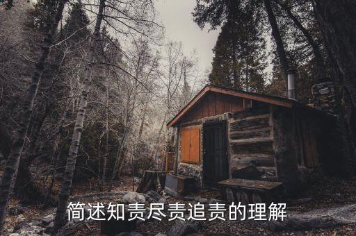 什么是追責，簡述知責盡責追責的理解