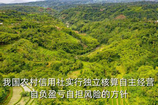 自擔(dān)風(fēng)險(xiǎn)是什么，報(bào)關(guān)報(bào)檢證如果掛靠自擔(dān)風(fēng)險(xiǎn)嗎