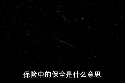 保險(xiǎn)保全是什么，保險(xiǎn)中的保全是什么意思