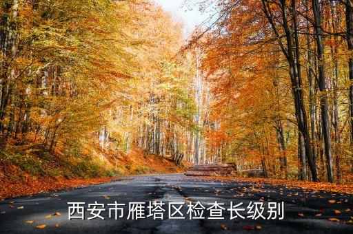 西安市正局級是什么級別，碑林分局局長級別是什么級別