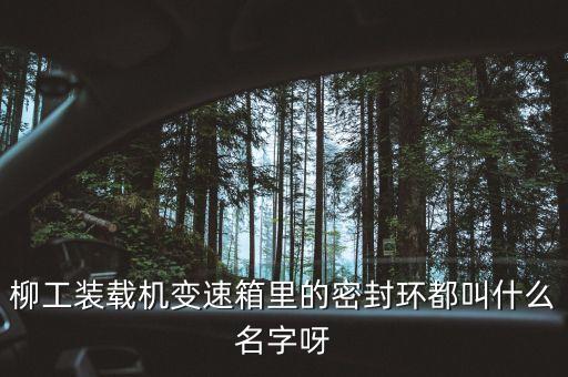 柳工836使用的什么鋼圈，柳工836配用的是什么發(fā)動機(jī)