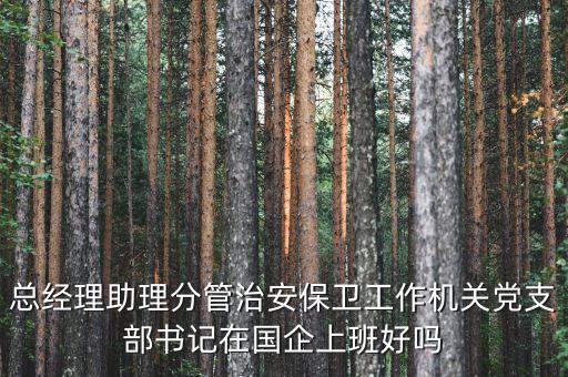 國企書記干什么的，總經(jīng)理助理分管治安保衛(wèi)工作機(jī)關(guān)黨支部書記在國企上班好嗎
