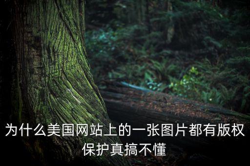 為什么國外重視版權(quán)，為什么美國網(wǎng)站上的一張圖片都有版權(quán)保護(hù)真搞不懂
