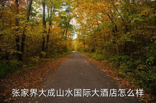 大成山水國(guó)際酒店毛致平是個(gè)什么人，大成山水老總毛致平是哪年出生的