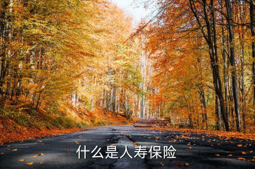 什么叫新型人壽保險，什么是人壽保險