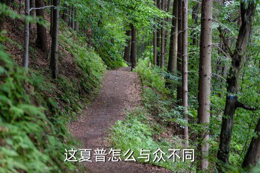 基金161707和161706是什么關(guān)系，這夏普怎么與眾不同